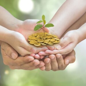 Two hands holding gold coins with a plant coming out of it