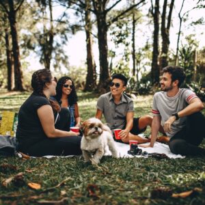 Group of people having a picnic
