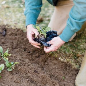 Person gardening 