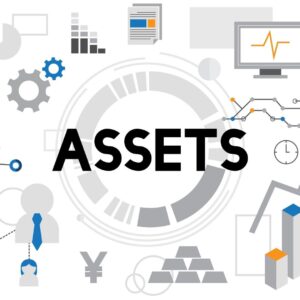 The word assets with assets surrounding