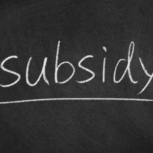 Subsidies