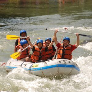 Activities